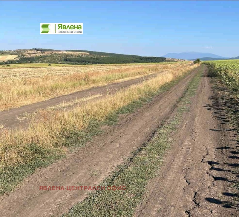 For Sale  Plot region Sofia , Aldomirovtsi , 58104 sq.m | 75136117