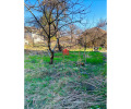 Продава КЪЩА, област София, с. Ярлово • 83550 € • 24171384 — Holmes.bg