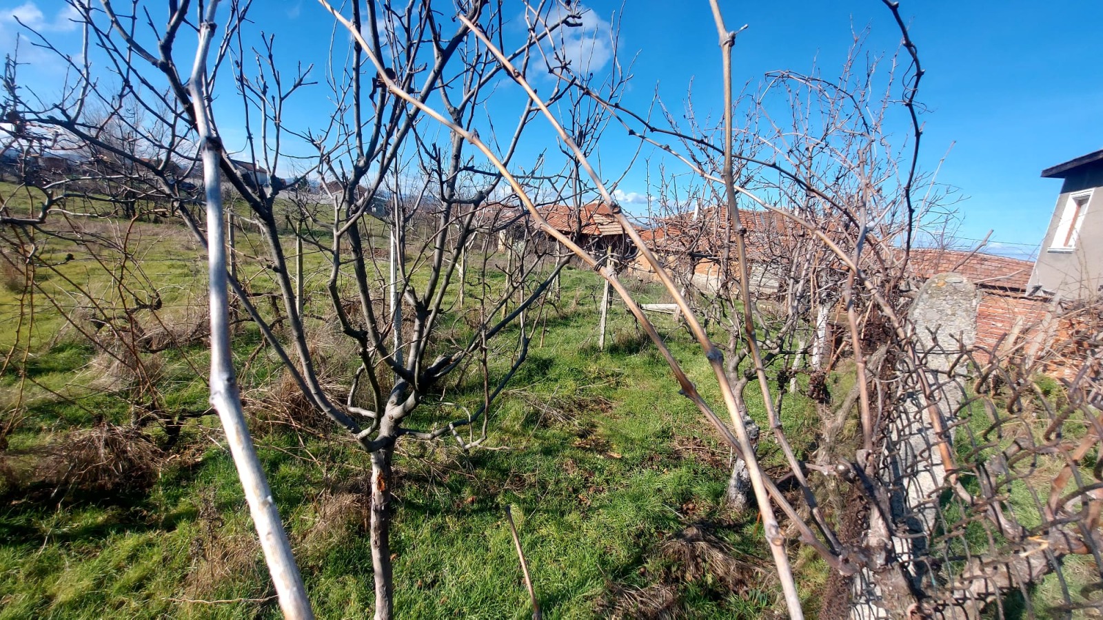 ������� ���� | Imot.bg � ����������� 16