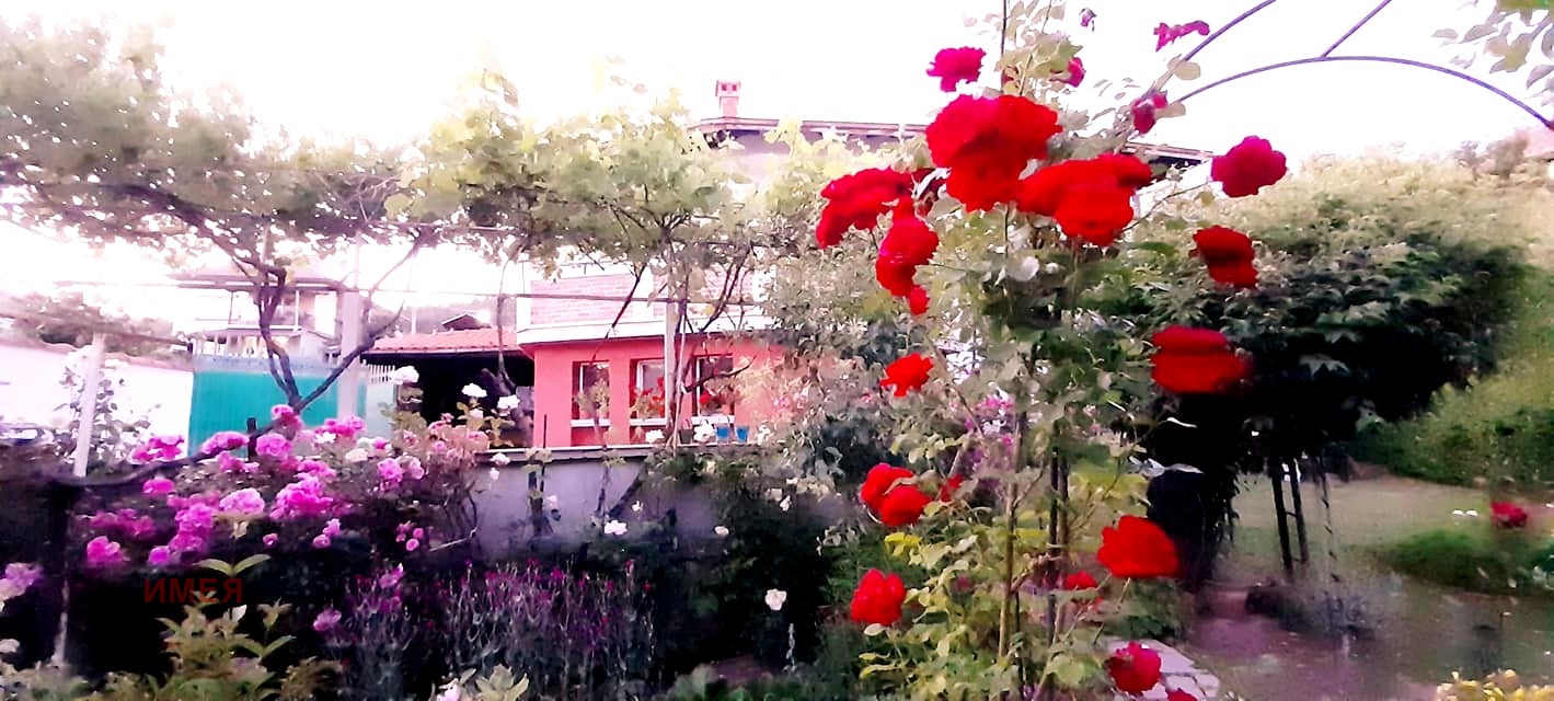 ������� ���� | Imot.bg � ����������� 16