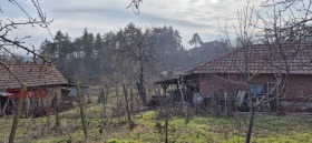 ����� ������� ����,�. ������� ����, ������ ����