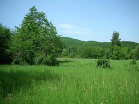 Handlung Dolna banja, region Sofia 2