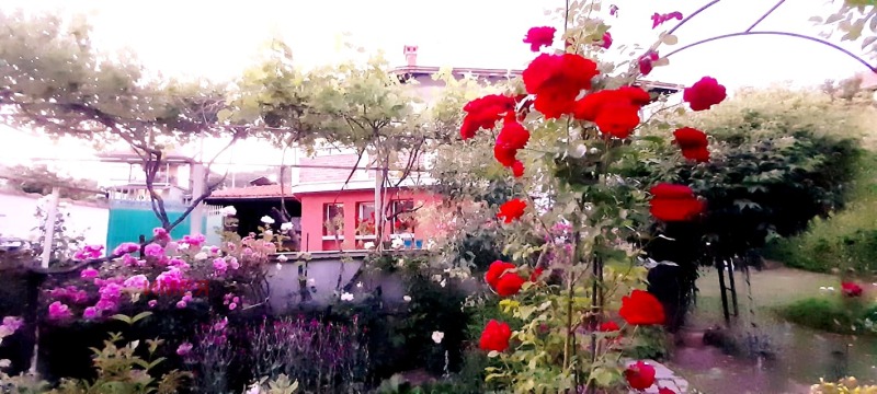 Продава КЪЩА, гр. Годеч, област София област, снимка 16 - Къщи - 53343200