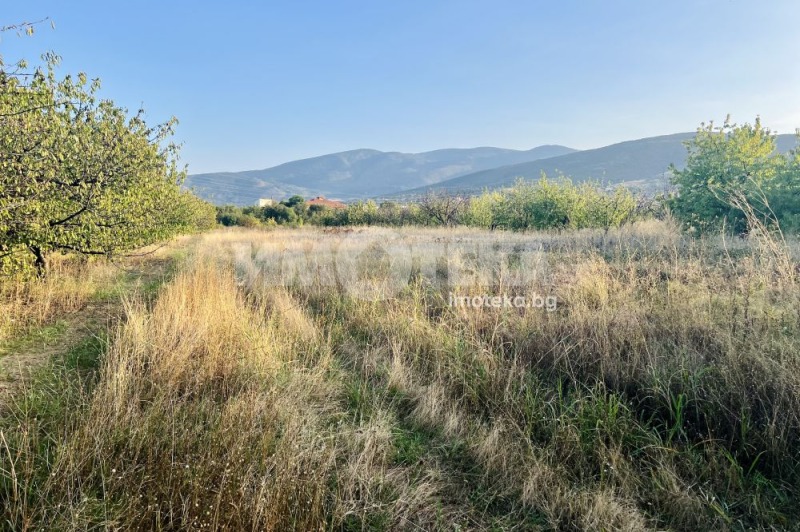 Till salu  Landa region Plovdiv , Brestnik , 2.7 dka | 18727306 - bild [2]