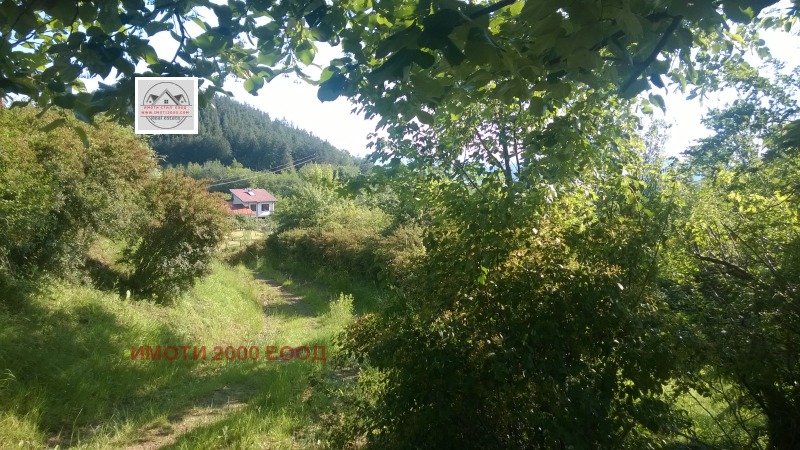 Zu verkaufen  Handlung region Gabrovo , Trjawna , 509 qm | 32486992 - Bild [5]