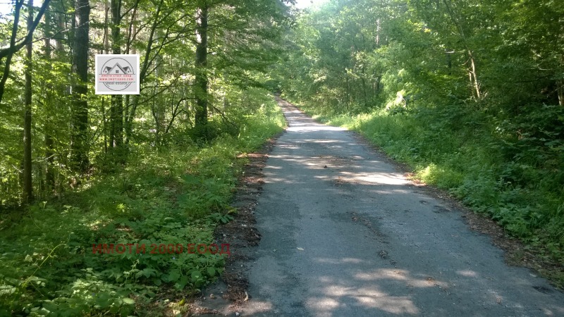 Zu verkaufen  Handlung region Gabrovo , Trjawna , 509 qm | 32486992 - Bild [3]