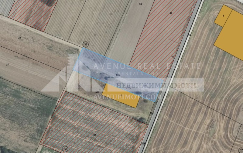 De vânzare  Complot regiunea Plovdiv , Bencovsci , 2098 mp | 59508310