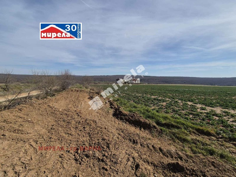 Продава ПАРЦЕЛ, с. Близнаци, област Варна, снимка 3 - Парцели - 53325801