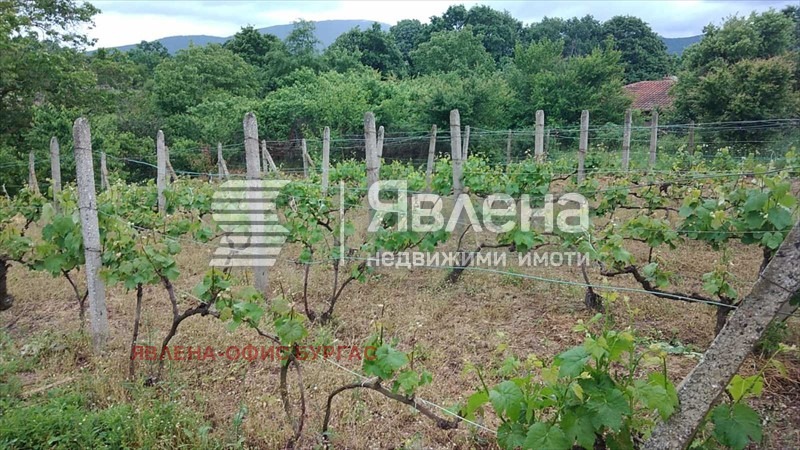 ������� ���� | Imot.bg � ����������� 14