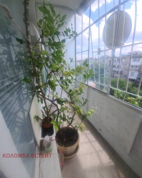  2- | Imot.bg    13