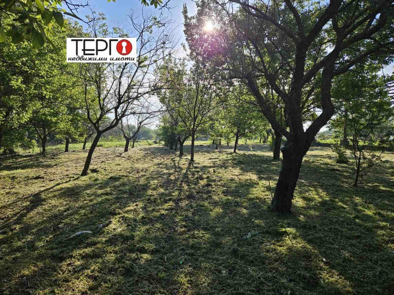 Продава  Пром. помещение област Русе , гр. Мартен , 60 кв.м | 57028555 - изображение [6]