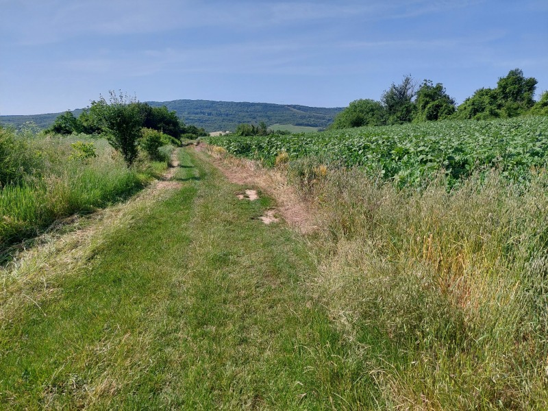 Myytävänä  Juoni Veliko Tarnovo alue , Ljaskovets , 4370 neliömetriä | 62838663 - kuva [8]