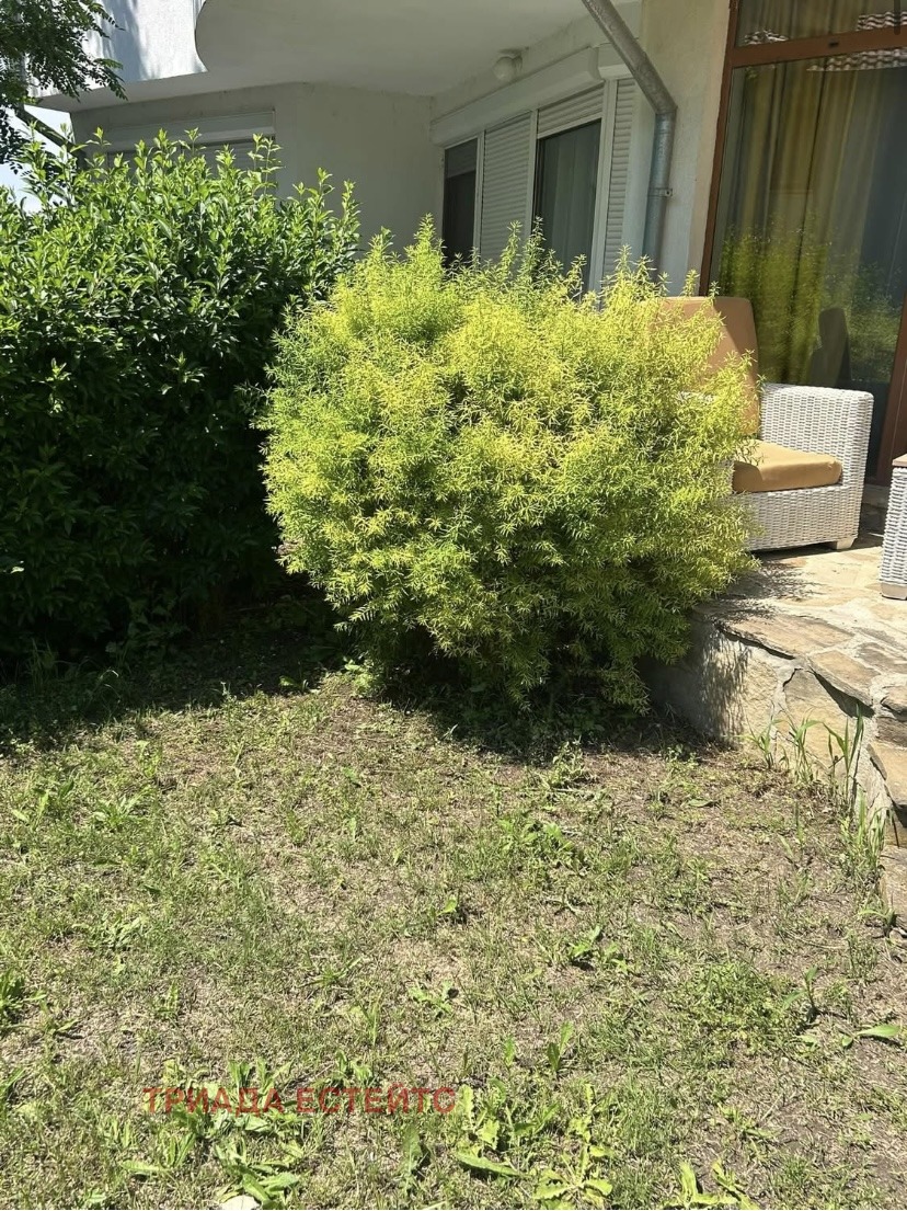 Продава КЪЩА, с. Кошарица, област Бургас, снимка 7 - Къщи - 56664190