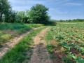 Продава ПАРЦЕЛ, област Велико Търново, гр. Лясковец • 52440 € • 48072178 — Holmes.bg