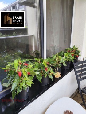 ������� 2-����� | Imot.bg � ����� ������ 13