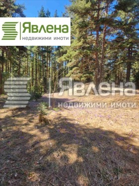   | Imot.bg    10