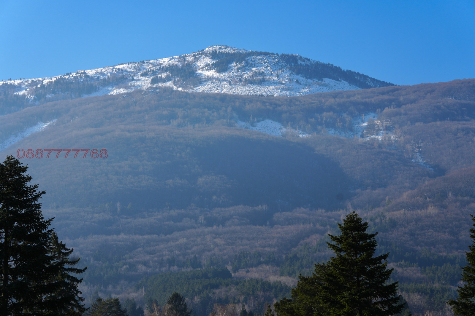 ������� ���� | Imot.bg � ����������� 11