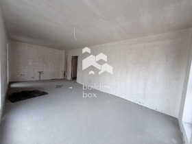 ����� ������� 2-�����,���� �������, ���������