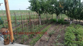 ������� ���� | Imot.bg � ����� ������ 8