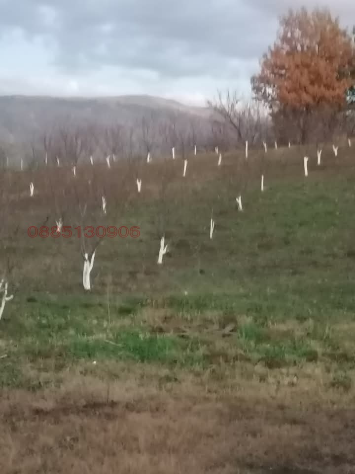 Продава ПАРЦЕЛ, гр. Перник, Захаринова махала, снимка 7 - Парцели - 52784532