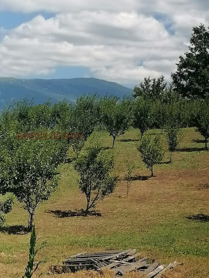 Продава ПАРЦЕЛ, гр. Перник, Захаринова махала, снимка 6 - Парцели - 52784532