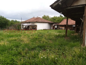 Hus Godech, region Sofia 7