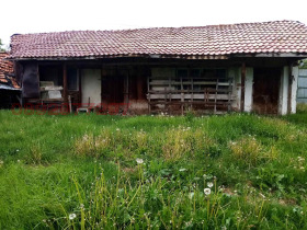 Hus Godesj, region Sofia 4