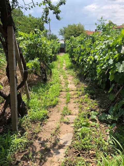 ������� ���� | Imot.bg � ����������� 2