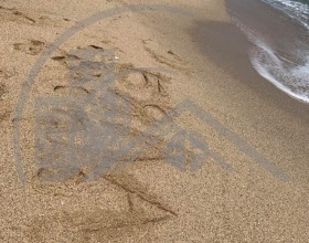 ������� 2-����� | Imot.bg � ����� ������ 13