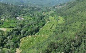 Plot Hrabrino, region Plovdiv 1