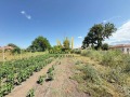 Продава ПАРЦЕЛ, област Бургас, с. Ливада • 23000 € • 12509038 — Holmes.bg