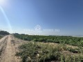Продава ПАРЦЕЛ, област Пловдив, с. Труд • 110400 € • 52174620 — Holmes.bg