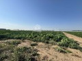 Продава ПАРЦЕЛ, област Пловдив, с. Труд • 110400 € • 52174620 — Holmes.bg