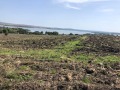 Продава ПАРЦЕЛ, град Бургас, Меден рудник - зона В • 793260 € • 98380814 — Holmes.bg