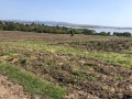 Продава ПАРЦЕЛ, град Бургас, Меден рудник - зона В • 793260 € • 98380814 — Holmes.bg