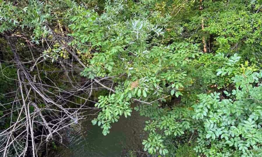 Продава КЪЩА | Imot.bg — изображение 17