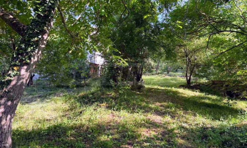 Til salg  Hus region Lovech , Golyam izvor , 158 kvm | 61210766 - billede [11]