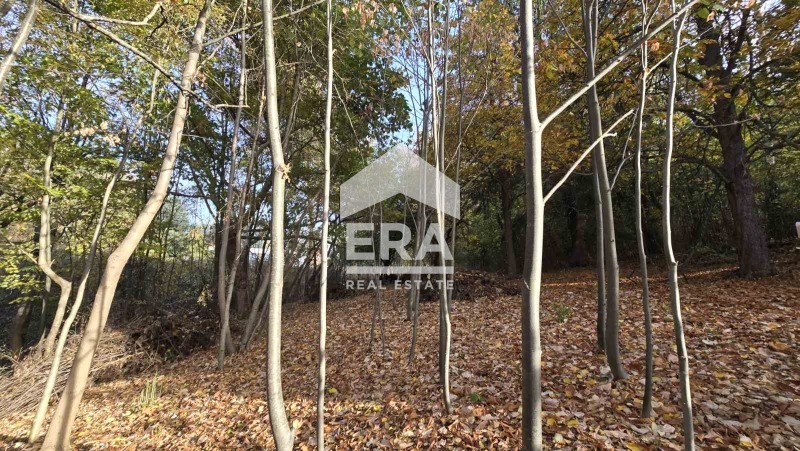 Продава ПАРЦЕЛ, с. Рударци, област Перник, снимка 3 - Парцели - 56680860