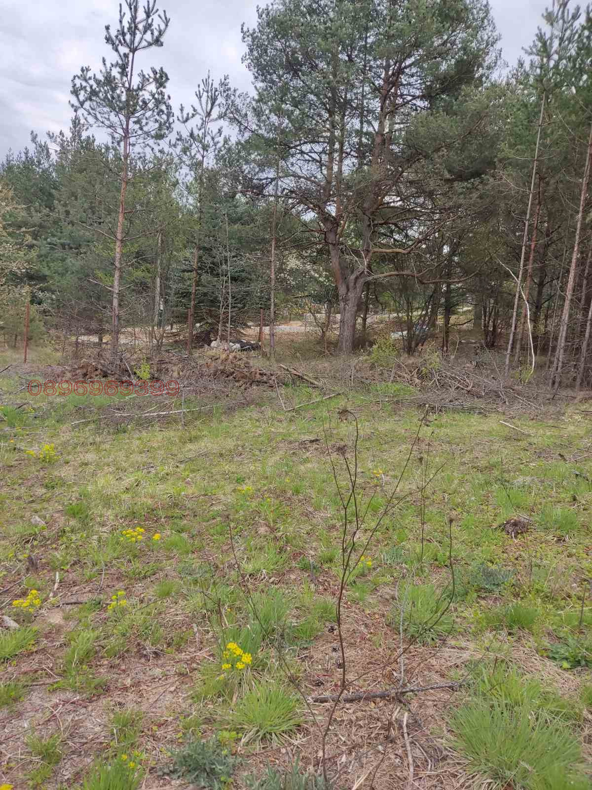 Продава ПАРЦЕЛ, гр. София, м-т яз. Искър, снимка 2 - Парцели - 56061447