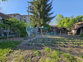 Hus Kozarevets, region Veliko Tarnovo