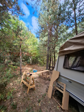 ����� ������� ���������� ����,��. ������, ������ �����������