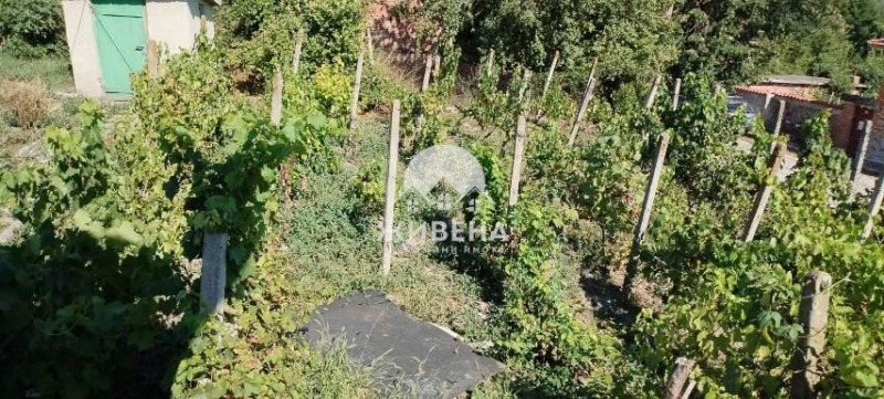 Продава КЪЩА, с. Боряна, област Варна, снимка 17 - Къщи - 53042007