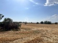 Продава ПАРЦЕЛ, с. Голям чардак, област Пловдив, снимка 1