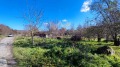 Продава ПАРЦЕЛ, с. Оброчище, област Добрич, снимка 3
