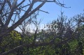 Продава ПАРЦЕЛ, град Варна, Свети Никола • 137600 € • 54211860 — Holmes.bg