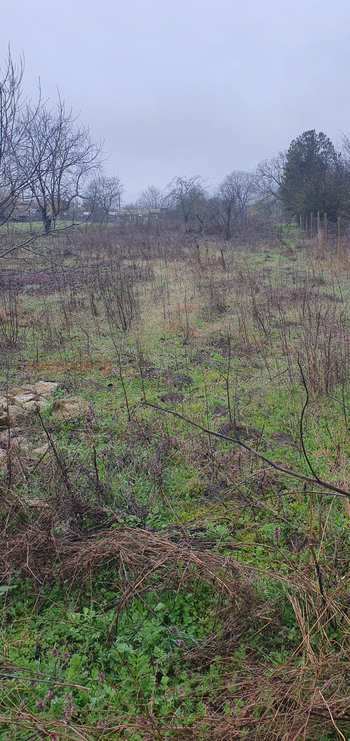 ������� ������ | Imot.bg � ����������� 2