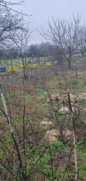 ������� ������ | Imot.bg � ����� ������ 3