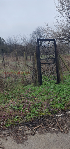 ����� ������� ������,�. ����������, ������ �����