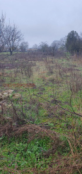 ������� ������ | Imot.bg � ����� ������ 2