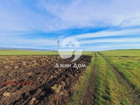 ����� ������� ������,�. ������������, ������ ������